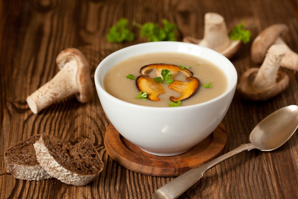 Cream of mushroom soup recipe